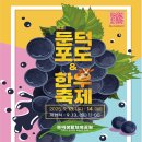 둔덕가족생활체육공원 이미지