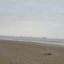 몽산포랑바다랑 이미지