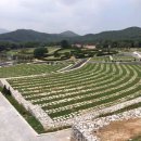 자연장지 이미지