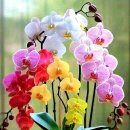 날마다좋은날 이미지