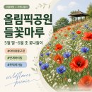올림픽공원2번출구 (뒤) | 2026 올림픽공원 들꽃마루 5~6월 꽃나들이, 주차부터 명당 꿀팁