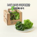 68 | 쿠팡체험단 10월 28일 68번째 후기