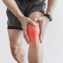 무릎건강을 위한 근력운동 4가지 이미지