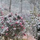 별빛황토펜션 이미지