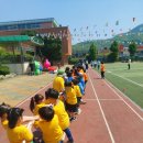 대월초 | 초등학교운동회업체 선택 시 체크할 사항을 알아보아요!