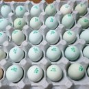 마령생명영농조합법인 이미지