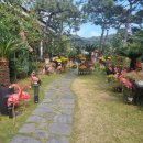 김삿갓밥집(본점) 이미지