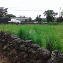 토산농장 이미지