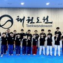 용인대 엘리트 태권도장 이미지