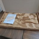 주식회사 느티나무