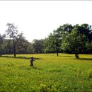 노루유치원 이미지