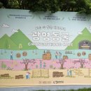 2015 광명동굴 대한민국 와인 페스티벌 | 광명 가볼만한 곳 광명동굴 주차, 입장료, 코스 및 포토존 총정리