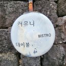 제주도 서귀포 애견동반 고등어 파스타 맛집 커뮤니테이블 내돈내산 후기
