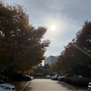 씨사이드파크 영종진 화장실 | [영종도 가볼 만한 곳] 가을 단풍 명소 씨사이드파크 영종진공원 숲길 산책로