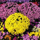 공인중개사사무소서율 이미지