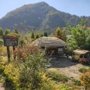 고산자연휴양림 이미지