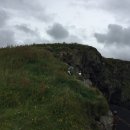 Iceland Travel Diary (7/18/19 ~ 7/30/19) - 11 (Fly to Reikjavic, Golden Circle) 이미지