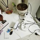 리빙일다
