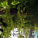 중흥2동 행정복지센터 앞 이미지