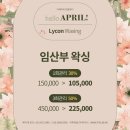 더왁싱&더태닝 네이버블로그