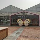 무지개 사슴농장 이미지