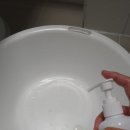 윤앤퍼피 이미지