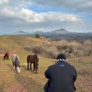 무무별장 이미지