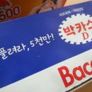 설레일 이미지