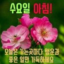 2월28.수요일.좋은글 이미지