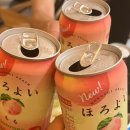 월정느루 | 월정느루 '온' 제주 동쪽 감성 가득한 독채 자쿠지 숙소