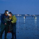 ③ : 해루질 물때 보는 법 초보자 가이드 - 국립해양조사원 조석예보를 기준으로 간조·철수 시간 감 잡기