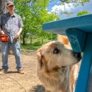 GOOD LIFE DOG 이미지