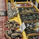 지에스(GS)25 통영통큰낚시점 | 통영 깨끗한 모텔 추천 | 테마모텔 한달살기 실제 후기 (중앙시장 도보 3분!)