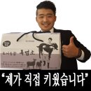 [도니친환경농장]래브라도 리트리버 출산/래브라도 리트브리버 분양/래브라도 리트리버 강아지