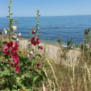 금음4리 쉼터 이미지