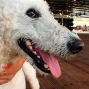 기봉이 농장 이미지