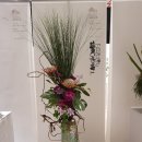 서울리프 이미지