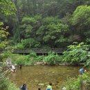 광치자연휴양림 | 청정 자연 속 완벽한 쉼, 양구 광치자연휴양림 방문 후기