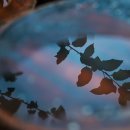 천안농원 이미지