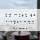 무지개펜션 | 양양 애견동반 숙소 | 바다빛무지개펜션 203호 | 통창으로 즐기는 오션뷰 🩵