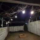 이야기펜션 | 충남 금산 | 자쿠지 펜션, 그림이야기책펜션 (B101 후기)