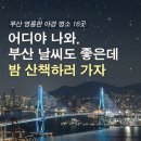 청학수변공원 | 부산야경♡밤산책☆나랑 별보러 가지 않을래~