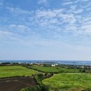 11500-5-22-01 | 우도 숙소 게스트하우스·펜션 가성비 끝판왕 스페이스01 후기