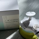 다운애견 이미지