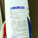 말벌 천적 고민하다 발견한 인생 살충제, 이제 마당이 편안해졌어요