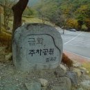 금화관광농원 이미지