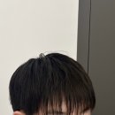 젤라헤어 - 세종특별자치시 | 젤라헤어