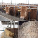 이인수 농장 이미지