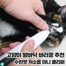워킹펫 | 고양이 발바닥 바리깡 추천 상처 걱정없는 저소음 수린펫 미니 클리퍼