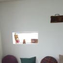 바오밥나무 민박 이미지